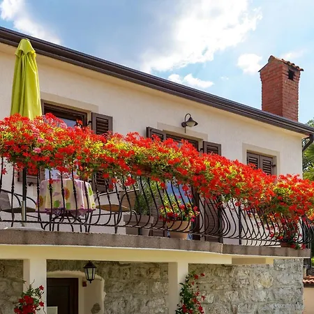 Srok, Romantic Apartment